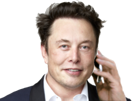 telephone-finance-he-other-crypto-elon-musk-tweet-trading-bought-it