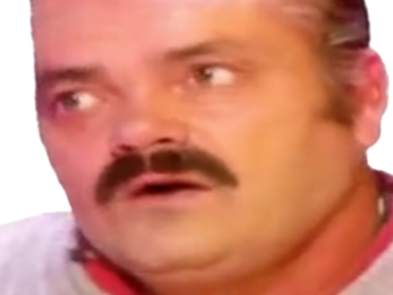 mrc eussou regard risitas sur le zoom regarde cote issou