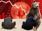 xrp-bitcoin-dump-crypto-bear-eth-fin-ours-sable-bullrun-bearish-pump-trader-bull-finance-bourse-bearmarket-autruche-risitas