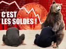 bull-bourse-bear-trader-eth-xrp-pump-soldes-risitas-bearish-finance-bitcoin-sable-bearmarket-autruche-ours-other-bullrun-fin-dump-crypto