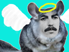 eco-george-other-chinchilla-harrison-beatles-faille-ange