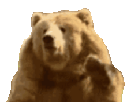 ours-other-bear-gif