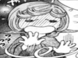 schierke gene kikoojap berserk degout timide