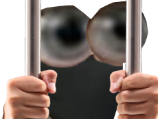 24 juge yeux de other prison ans herrin cameron