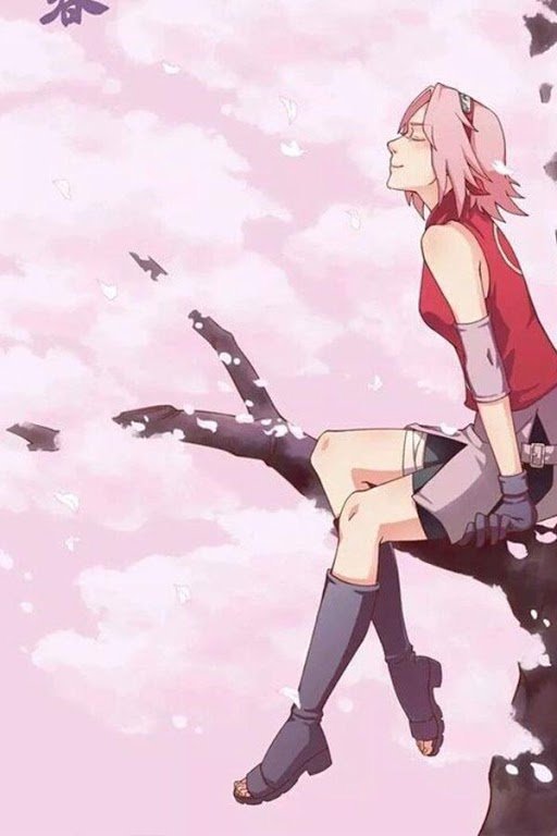 sakura lustra kikoojap haruno