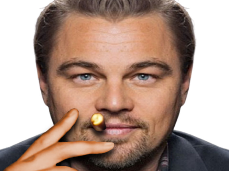 138 leo mrc leonardo dicaprio
