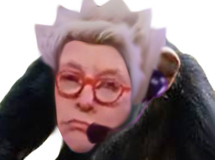 risitas musk singe elon