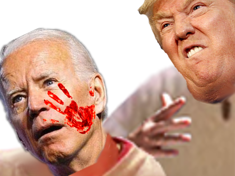 biden gifle maga trump politic 2024