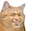 mbappe-chat-sourire-rire-other