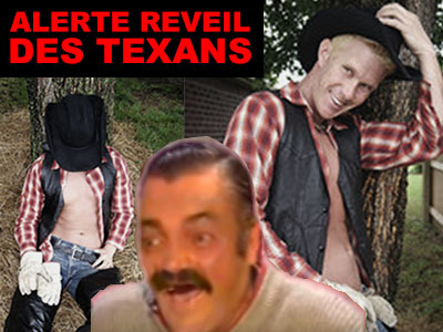 cowboy alerte reveil texas texans crypto