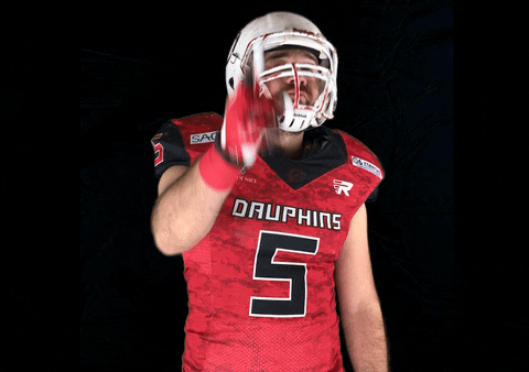 football oui dauphins risitas