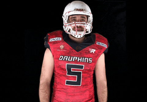 love dauphins footus coeur football nice risitas