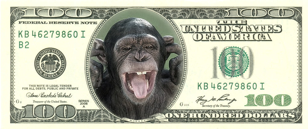 dollar jvc monkey money