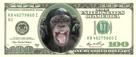 dollar-jvc-monkey-money