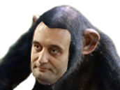 philippot politic ouga singe bouga