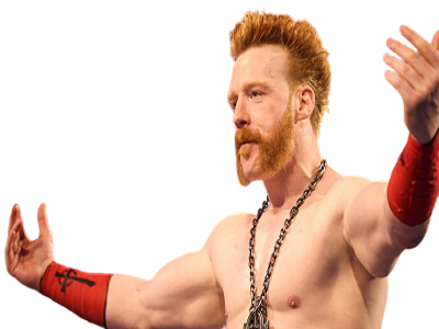 lesnar504 sheamus