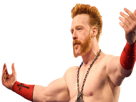 lesnar504-sheamus-other