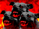 diable-demon-mechant-enerve-pitbull-other-chien-staff