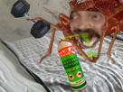 chambre-cancer-ou-aerosol-punaise-lit-invincible-increvable-muscu-araignee-de-insecte-insecticide-infection-post-invasion-go