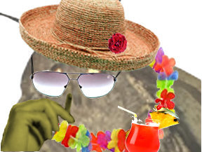 playa moth mite risitas