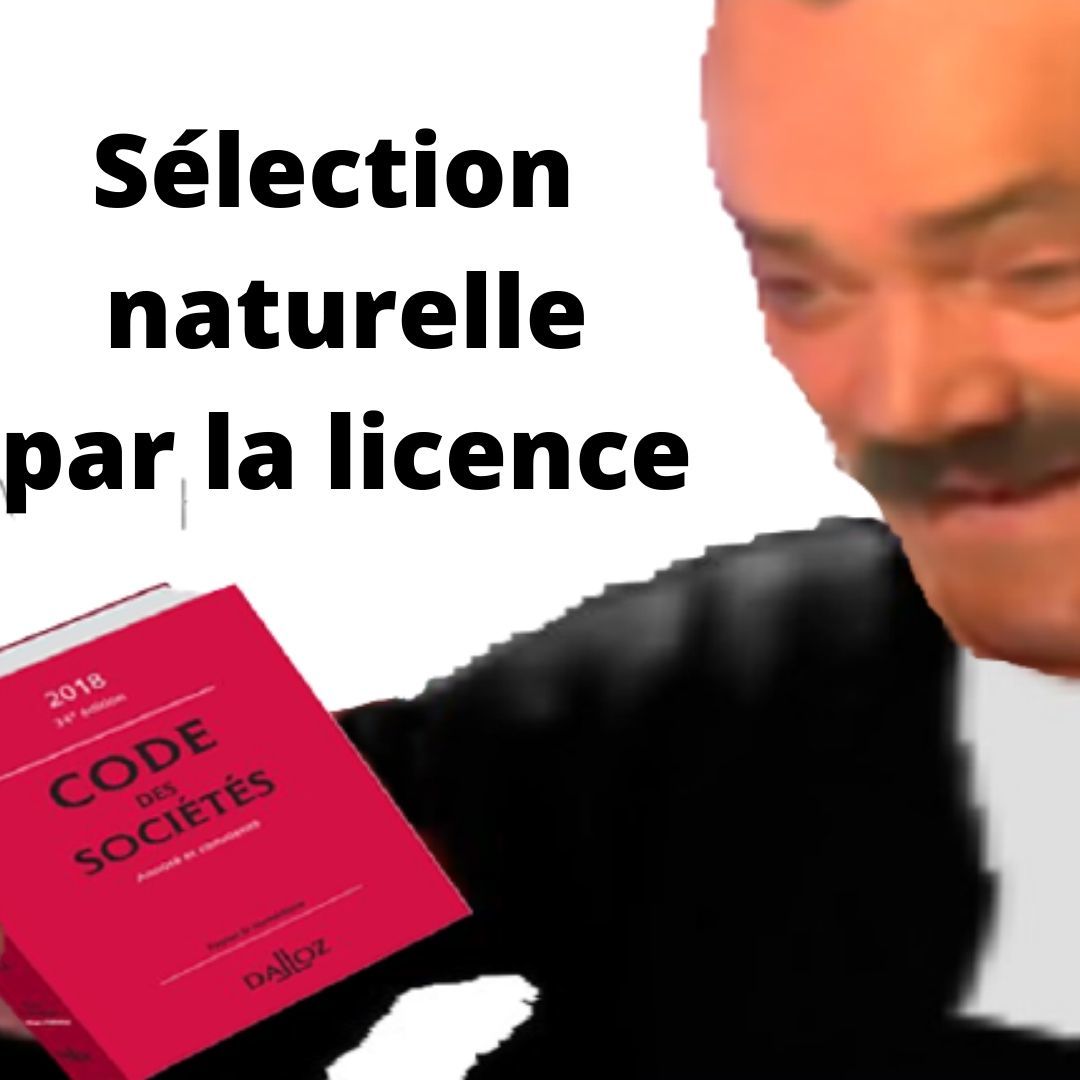 selection droit risitas licence
