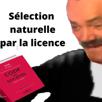 selection-droit-risitas-licence