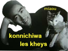 mignon-mishima-bonjour-coucou-chat-yukio-kikoojap-konnichiwa-cute