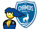 football-chamois-other-foot-master-niortais-niort-jvc