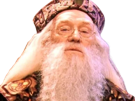 harry-cependant-risitas-potter-dumbledore