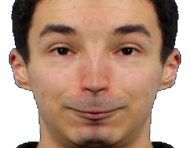 zoulman zoulmanent brocante risitas