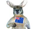 drapeau-fatigue-australie-other-kangourou-pays
