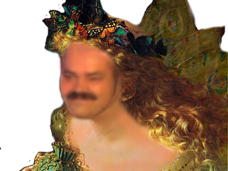 couronne princesse risitas mignon medieval cute jolie fee belle papillon robe