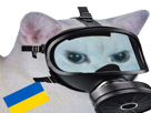 enerve-risitas-ukrainien-tchernobyl-ukraine-chat-masque-blanc