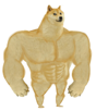 other-chad-muscle-meme-shiba-chien