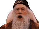 silence-dumbledore-harry-cependant-other-potter-gif