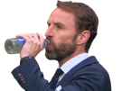 2020-southgate-gareth-euro-other-angleterre-football