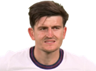 maguire-football-harry-angleterre-2020-euro-other