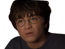 potter-risitas-question-what-harry