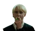 drago-malefoy-potter-harry-malfoy-other-pomme