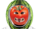 fruit-tomate-pasteque-legume-thomas-et-risitas-pesquet-content