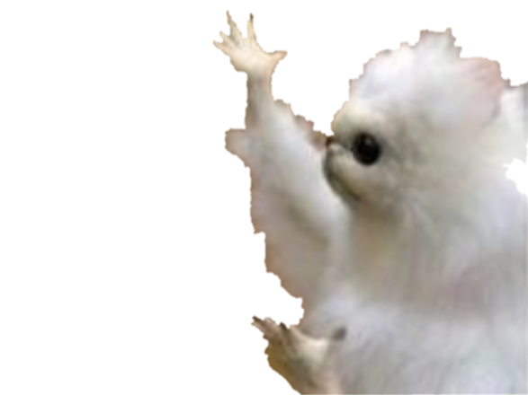 montre blanc lemurien other main droite