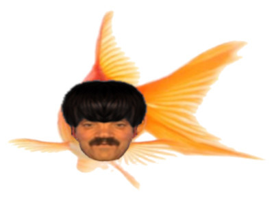 risitas golem selection rouge poisson gauche naturelle