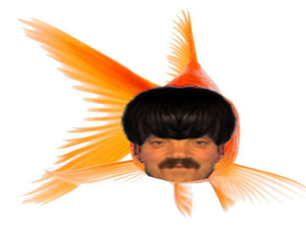 naturelle risitas poisson rouge golem selection droite