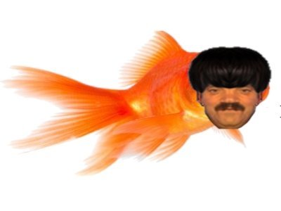 risitas selection naturelle poisson rouge golem hautain