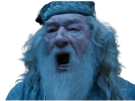 dumbledore-potter-harry-other-cri