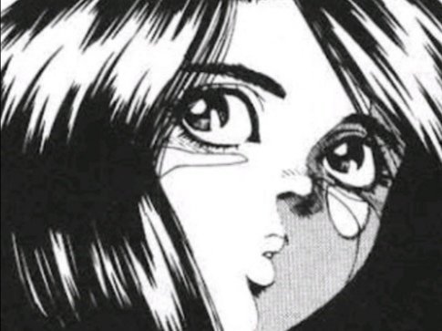 alita kikoojap kj gally yoko gunnm