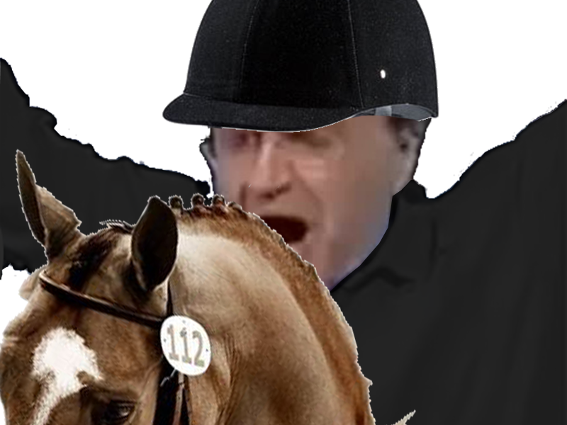 olympique equitation patrick cheval jeux poney jo montel