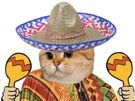 sombrero-jvc-super-mexique-happy-chat-joie-gauche-maracas