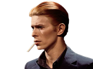 bowie-years-other-to-coke-white-station-thin-golden-duck-clope-david