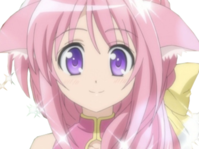 days firiano biscotti millefiore dog brille kikoojap